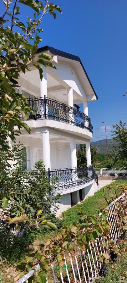 Villa Bratislava Demir Kapija Exteriör bild